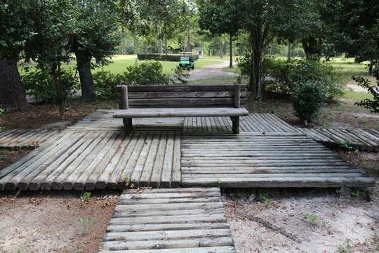 Rustic log bench on the park grounds