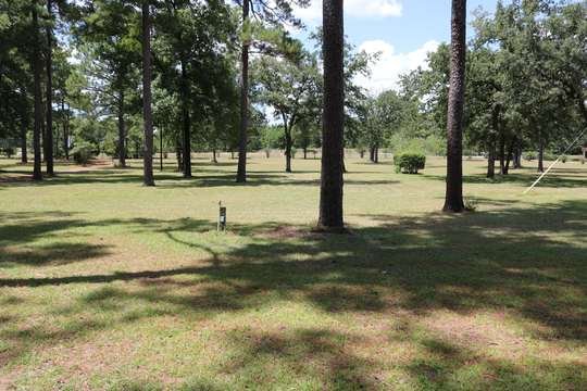 Mowed concert lawn and pine groves
