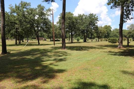 Mowed concert lawn and pine groves